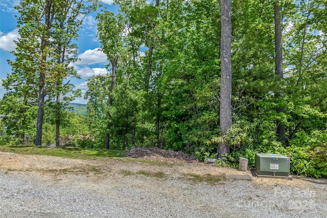81 Curtain Blf, Hendersonville, NC 28791 - photo 14