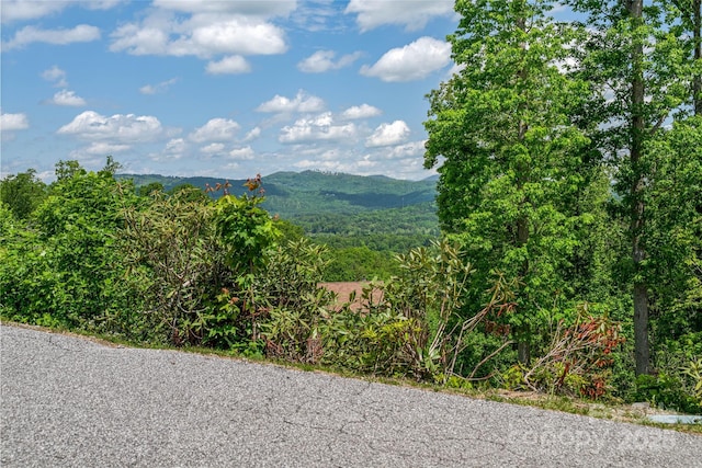 81 Curtain Blf, Hendersonville, NC 28791 - photo 15