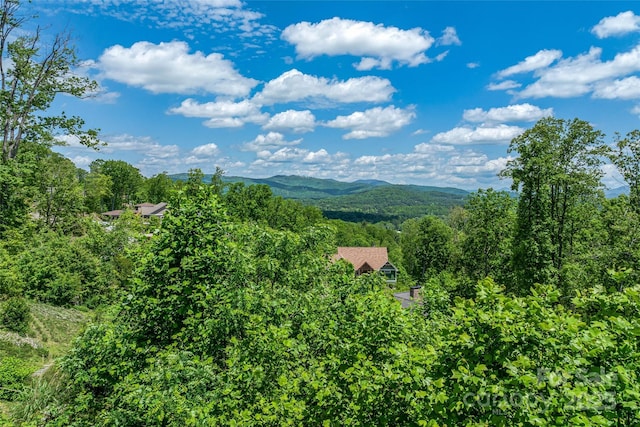 81 Curtain Blf, Hendersonville, NC 28791 - photo 17