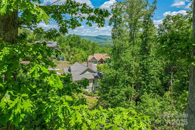 81 Curtain Blf, Hendersonville, NC 28791 - photo 19