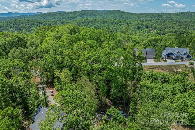 81 Curtain Blf, Hendersonville, NC 28791 - photo 21