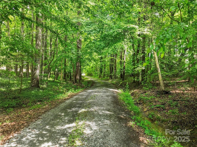 7328 S Providence Rd, Waxhaw, NC 28173 - view of street with a forest view
