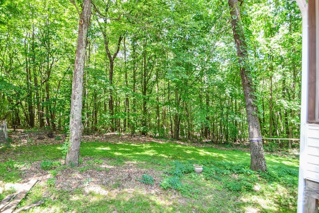 7328 S Providence Rd, Waxhaw, NC 28173 - view of green lawn with a wooded view