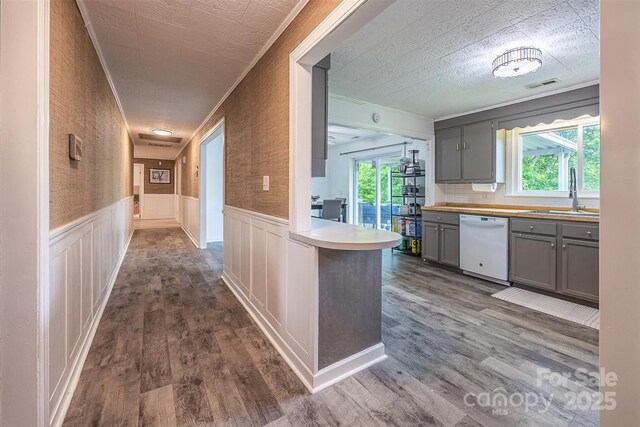 kitchen with a sink, dishwasher, gray cabinetry, wainscoting, and healthy amount of natural light
