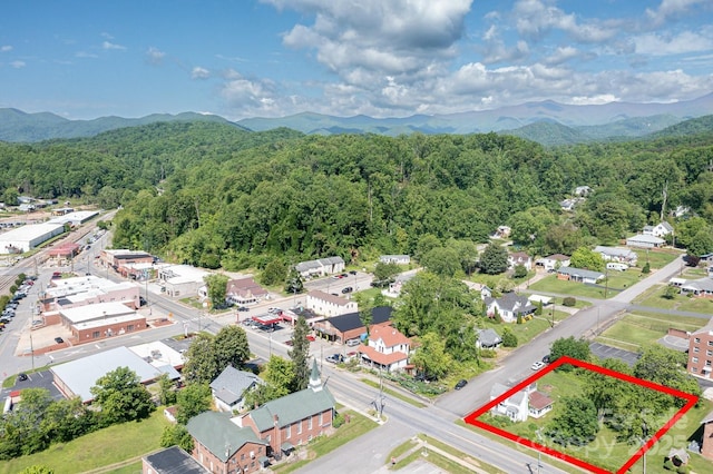 view of property location with a heavily wooded area, property parcel outlined, and mountains