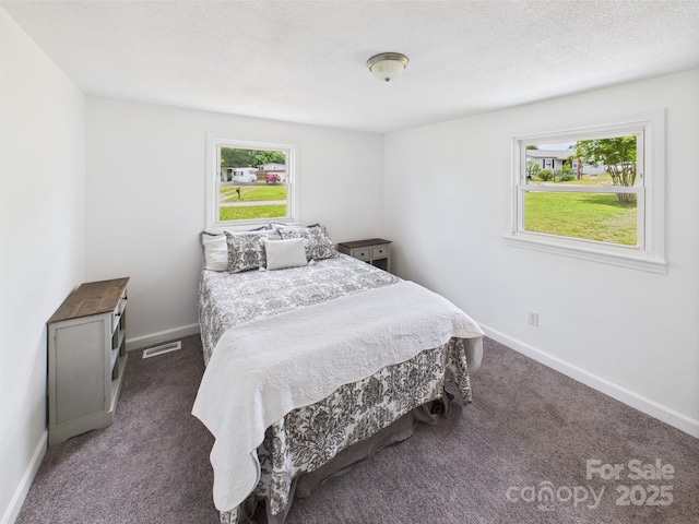 120 Hepler Rd, Taylorsville, NC 28681 - carpeted bedroom with multiple windows and baseboards