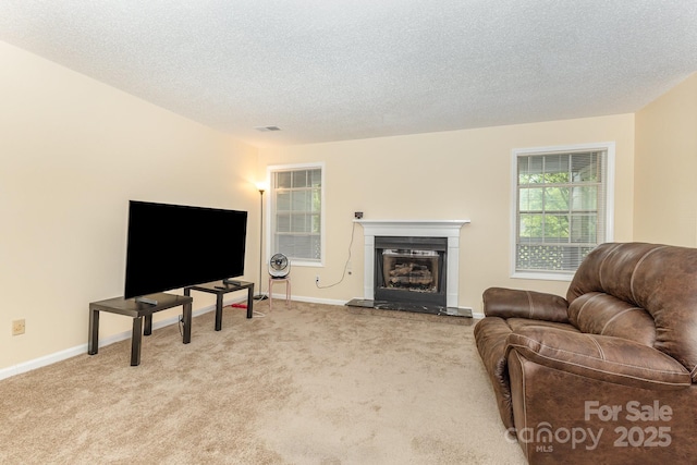 6011 Treetop Ct, Charlotte, NC 28212 - photo 9