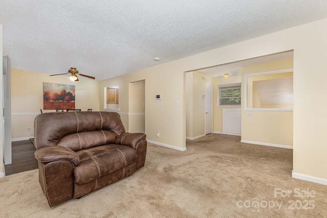 6011 Treetop Ct, Charlotte, NC 28212 - photo 10
