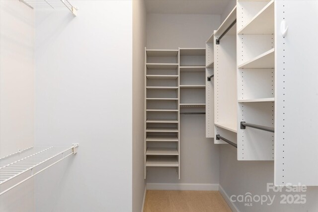 601 Carver Pond Ln, Waxhaw, NC 28173 - spacious closet with carpet