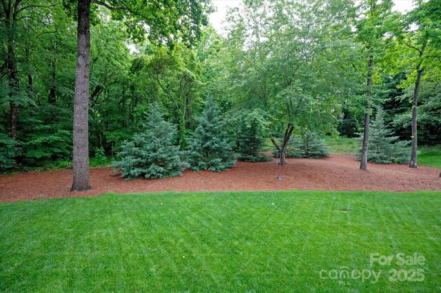601 Carver Pond Ln, Waxhaw, NC 28173 - view of green lawn