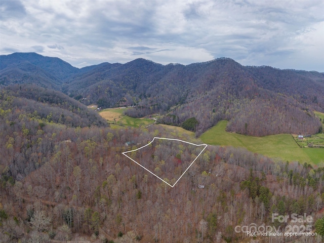 00 Michele Ln Unit 4, Leicester, NC 28748