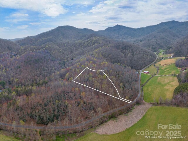 00 Michele Ln Unit 4, Leicester, NC 28748