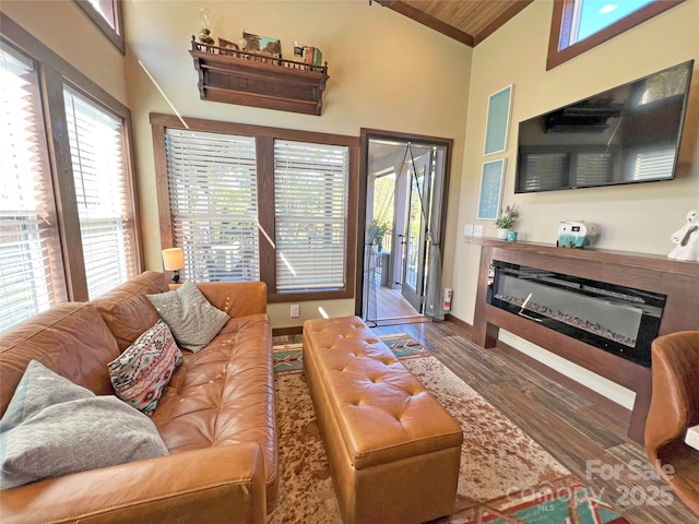 150 Easy St, Hot Springs, NC 28743 - living room with a glass covered fireplace, wood finished floors, plenty of natural light, high vaulted ceiling, and wooden ceiling