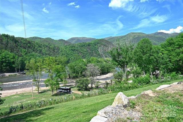 150 Easy St, Hot Springs, NC 28743 - view of community with a mountain view and a yard