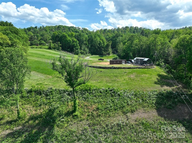 150 Easy St, Hot Springs, NC 28743 - view of property location