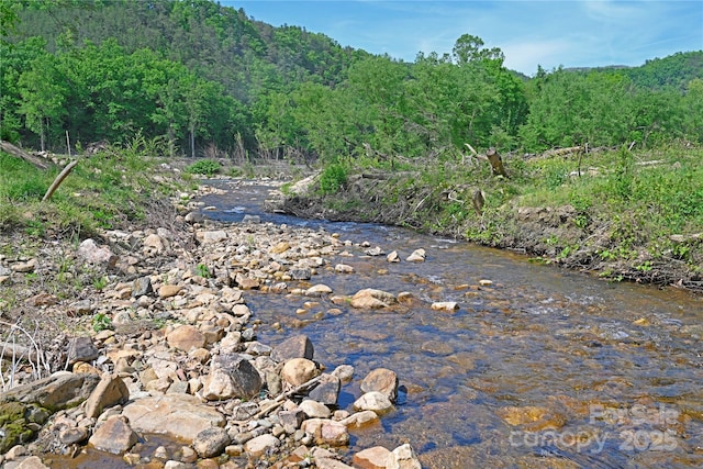 150 Easy St, Hot Springs, NC 28743 - water view featuring a heavily wooded area