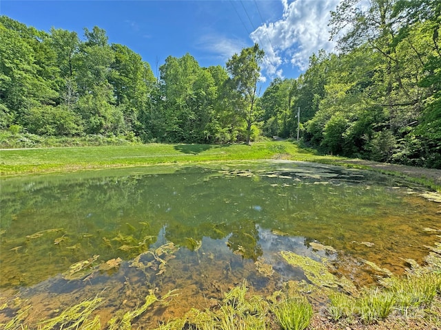 150 Easy St, Hot Springs, NC 28743 - view of local wilderness