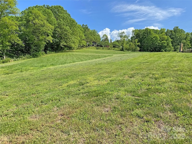 150 Easy St, Hot Springs, NC 28743 - view of grassy yard