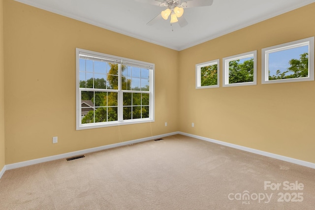 unfurnished room featuring baseboards, carpet, ceiling fan, and crown molding