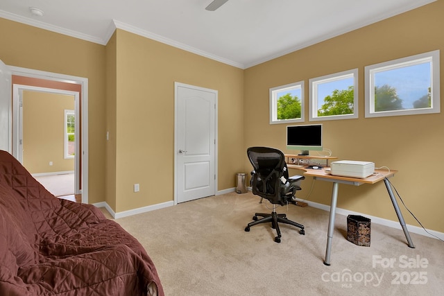office area featuring carpet floors, ornamental molding, and baseboards