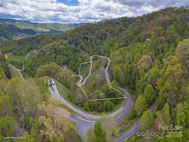 00 Quest Cv, Clyde, NC 28721