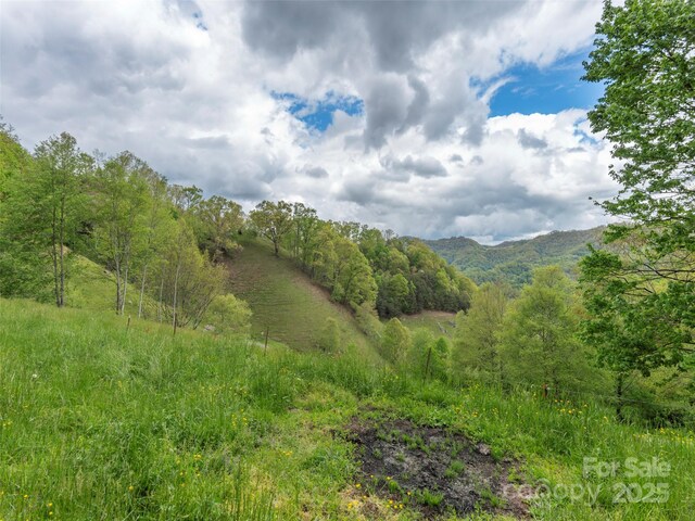 00 Quest Cv, Clyde, NC 28721
