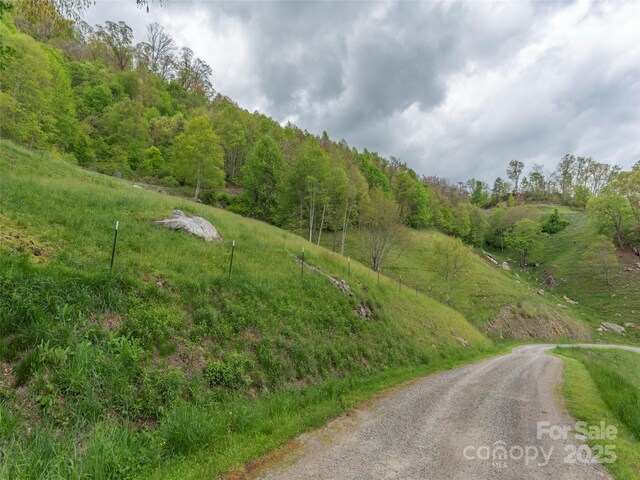 00 Quest Cv, Clyde, NC 28721