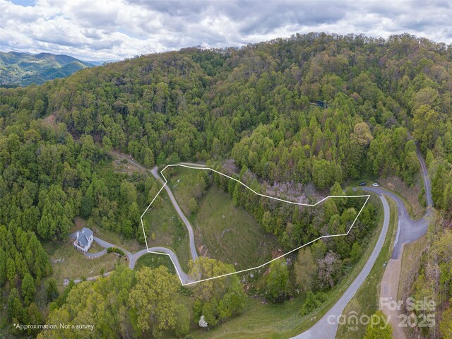 00 Quest Cv, Clyde, NC 28721