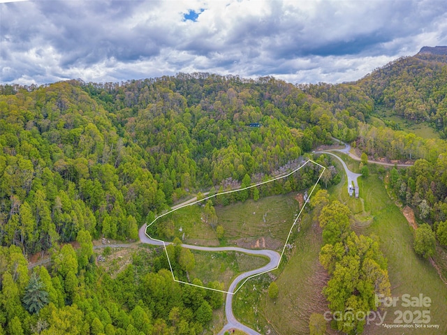 00 Quest Cv, Clyde, NC 28721