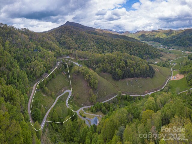 00 Quest Cv, Clyde, NC 28721