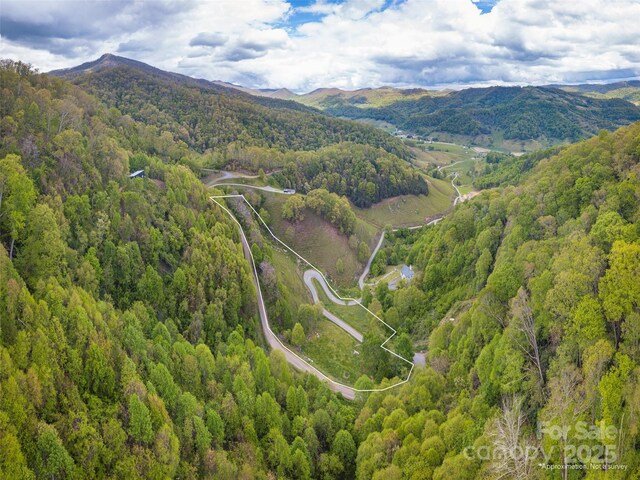00 Quest Cv, Clyde, NC 28721