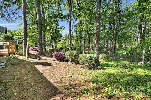 4738 Truscott Rd, Charlotte, NC 28226 - view of yard with a deck and view of wooded area