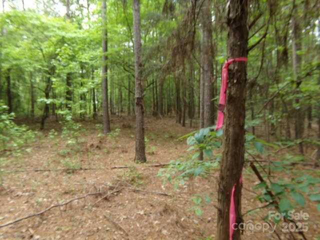 3.25AC Slick Rock Rd, Chester, SC 29730