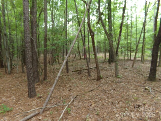 3.25AC Slick Rock Rd, Chester, SC 29730