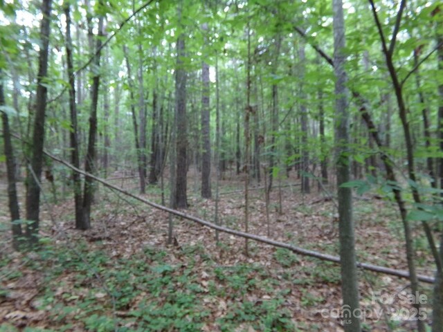 3.25AC Slick Rock Rd, Chester, SC 29730