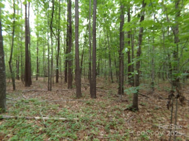 3.25AC Slick Rock Rd, Chester, SC 29730