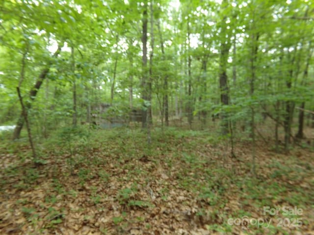 3.25AC Slick Rock Rd, Chester, SC 29730