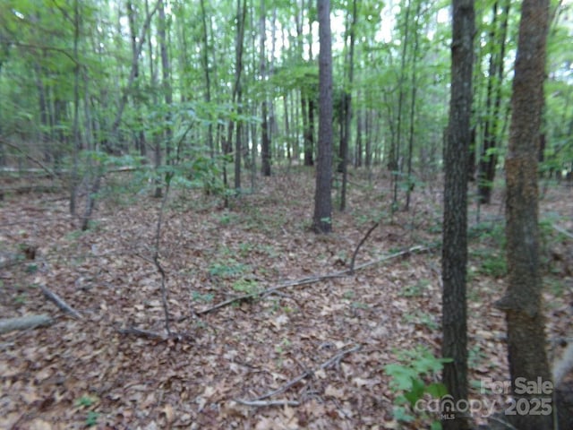 3.25AC Slick Rock Rd, Chester, SC 29730
