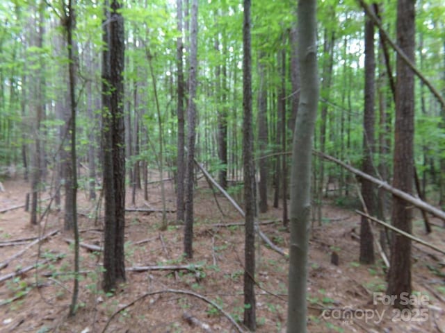 3.25AC Slick Rock Rd, Chester, SC 29730