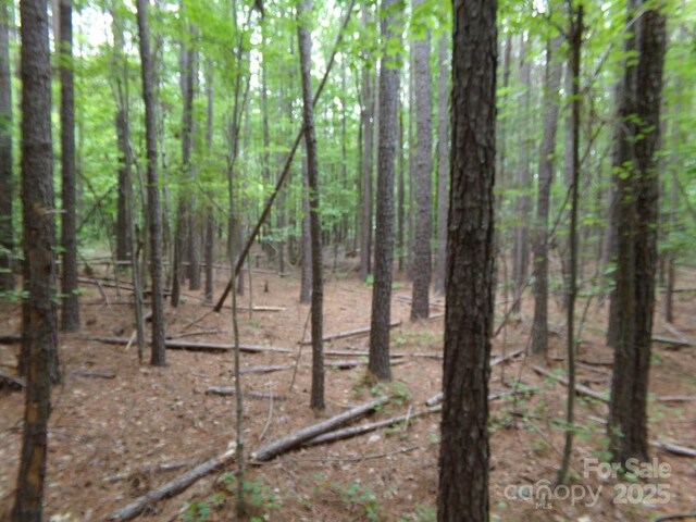 3.25AC Slick Rock Rd, Chester, SC 29730