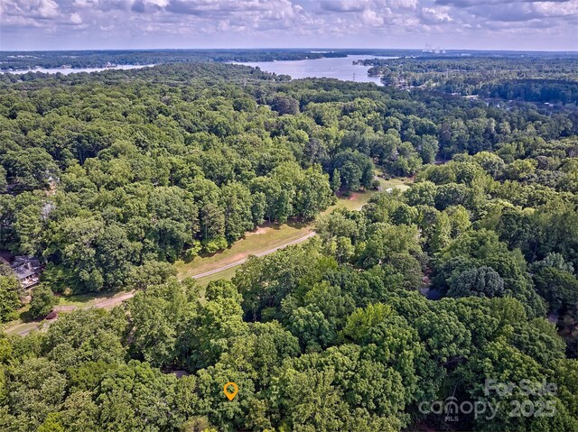 46 Timberidge Dr, Lake Wylie, SC 29710 - drone / aerial view of a forest and a nearby body of water