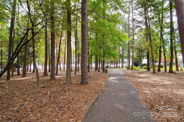 46 Timberidge Dr, Lake Wylie, SC 29710 - view of community