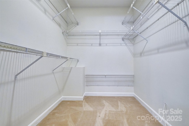 46 Timberidge Dr, Lake Wylie, SC 29710 - walk in closet with carpet