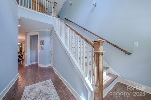 552 Sweet Birch Park Ln, Black Mountain, NC 28711 - photo 5