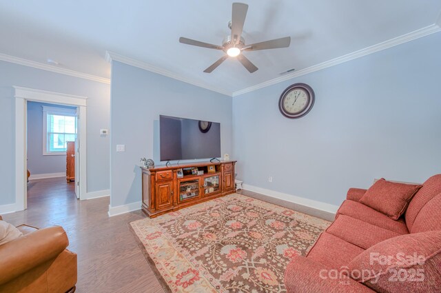 552 Sweet Birch Park Ln, Black Mountain, NC 28711 - photo 19