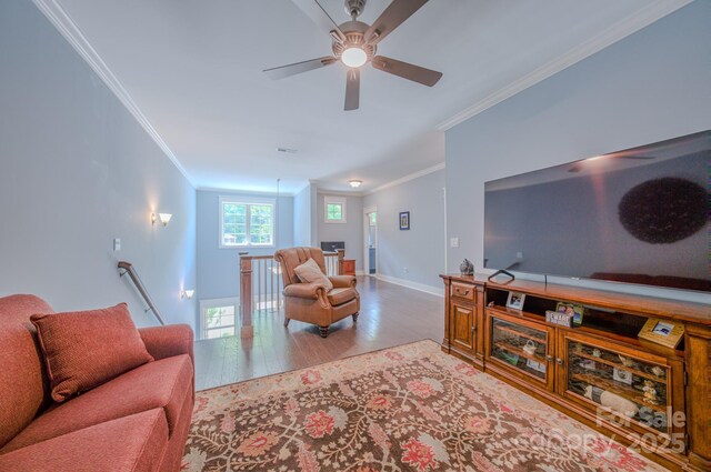 552 Sweet Birch Park Ln, Black Mountain, NC 28711 - photo 20