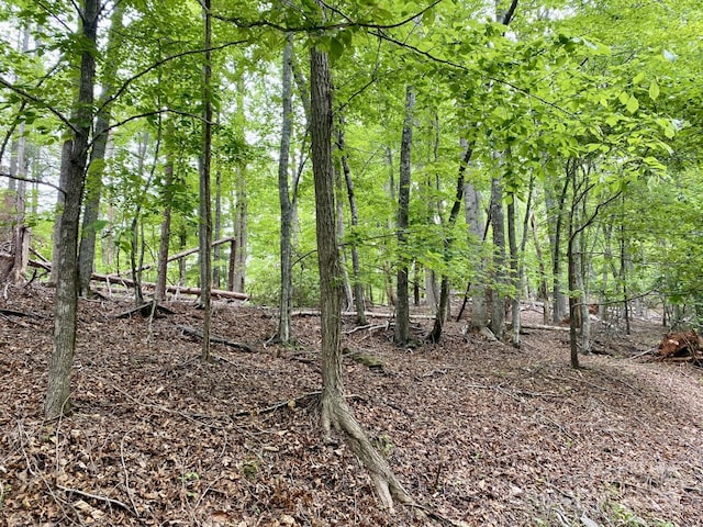 0 Granny Smith Ln Lot # 30, Lake Lure, NC 28746