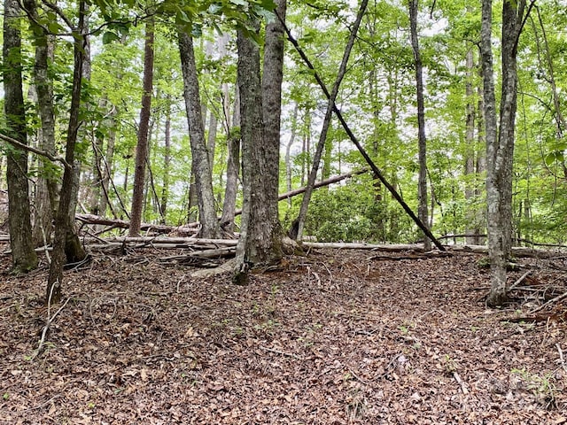0 Granny Smith Ln Lot # 30, Lake Lure, NC 28746