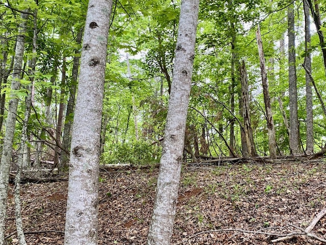 0 Granny Smith Ln Lot # 30, Lake Lure, NC 28746