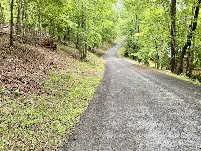 0 Granny Smith Ln Lot # 30, Lake Lure, NC 28746
